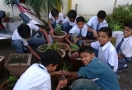 Environment Day